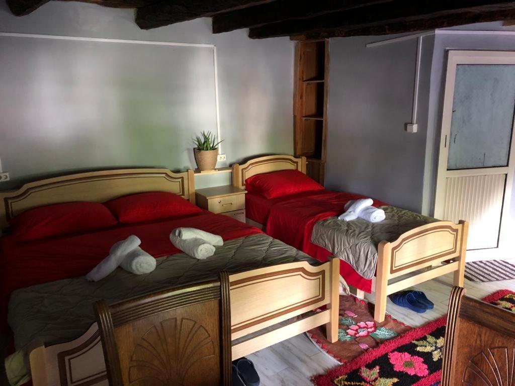 Guesthouse Kujtimi Theth Eksteriør billede